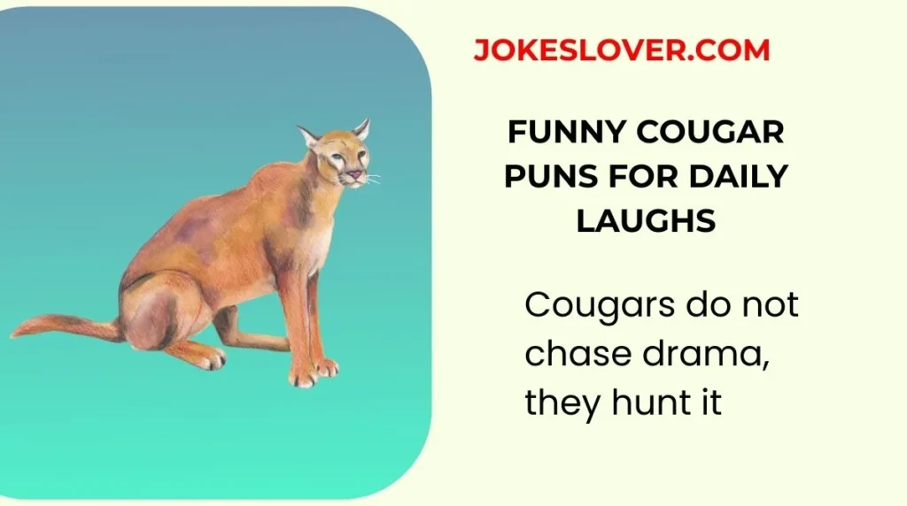 Funny Cougar Puns for Daily Laughs