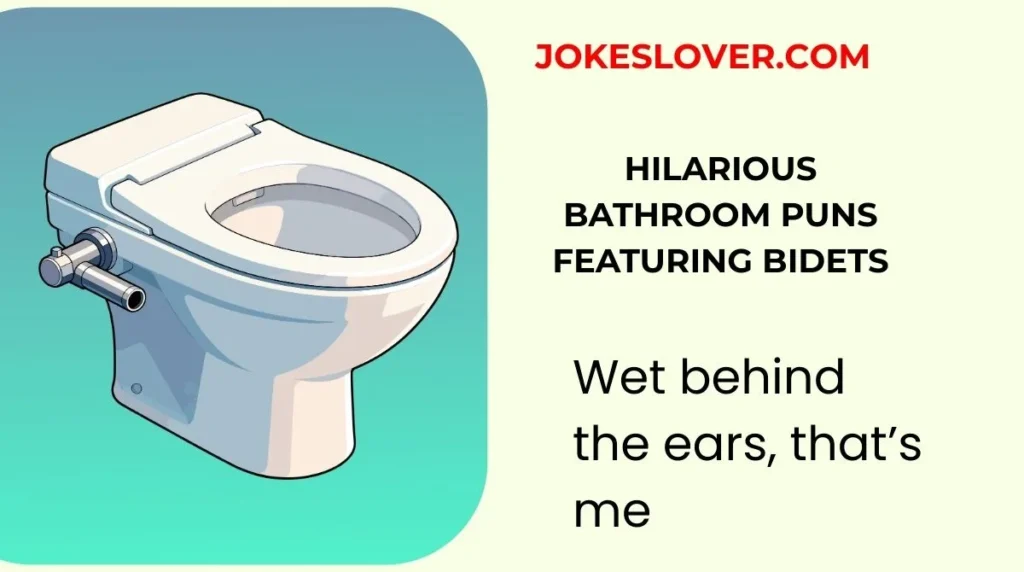 Hilarious Bathroom Puns Featuring Bidets