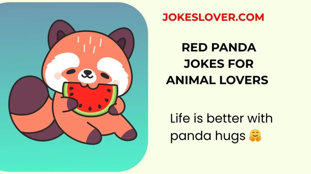 Red Panda Jokes for Animal Lovers