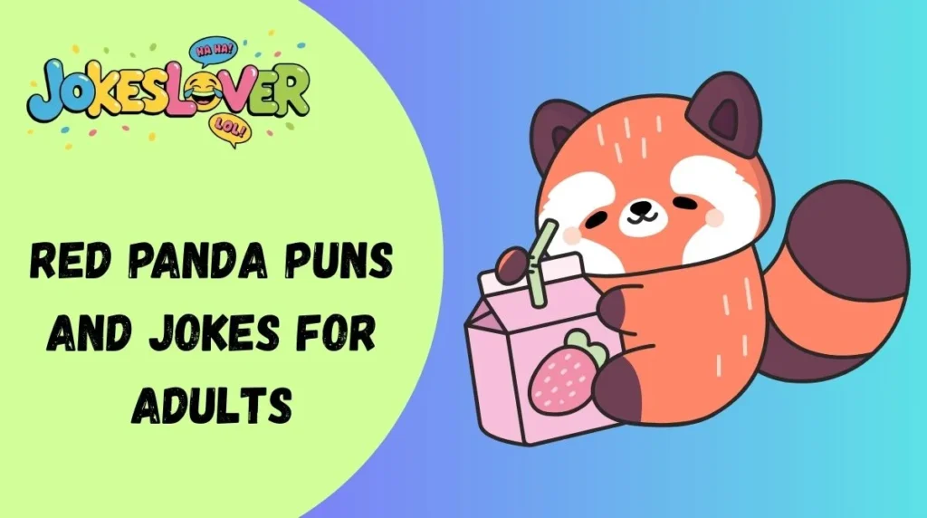 Red Panda Puns and Jokes for Adults