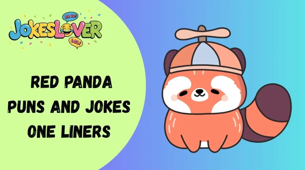  Red Panda Puns and Jokes One Liners