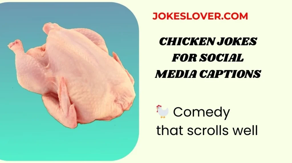 Chicken Jokes for Social Media Captions