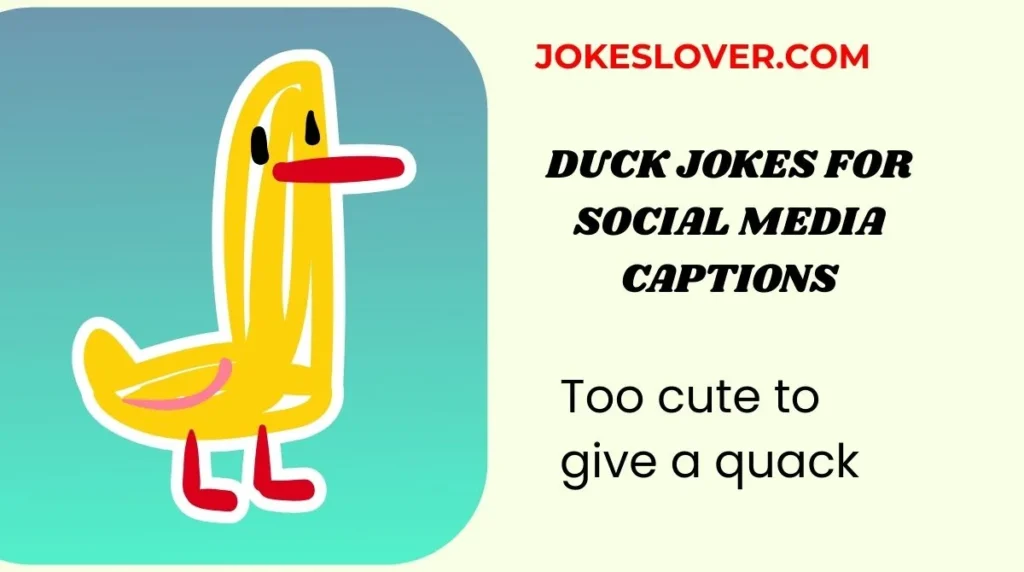 Duck Jokes for Social Media Captions