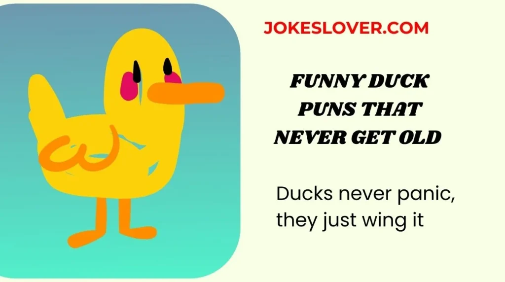 Funny Duck Puns That Never Get Old