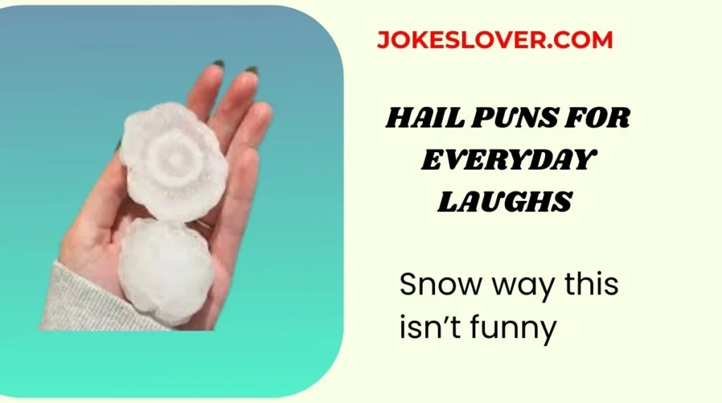 Hail Puns for Everyday Laughs