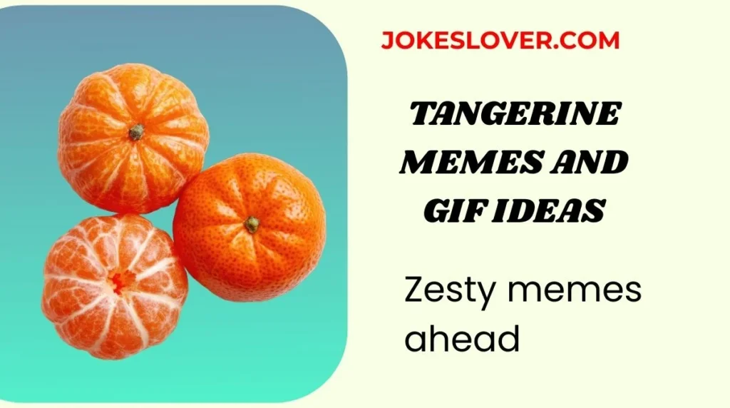 Tangerine Memes and GIF Ideas