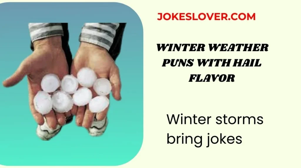 Winter storms bring jokes