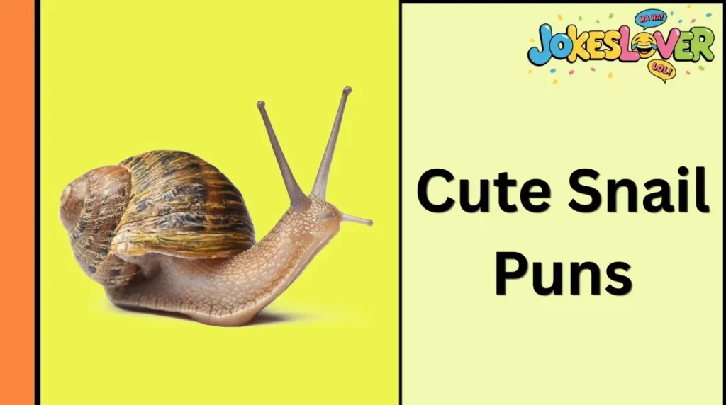 Cute Snail Puns