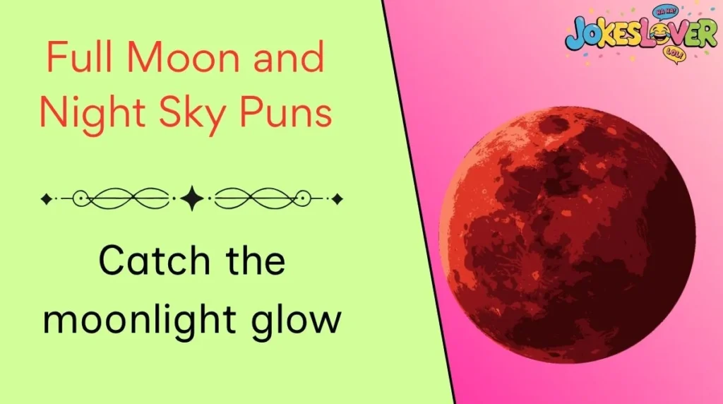 Full Moon and Night Sky Puns 