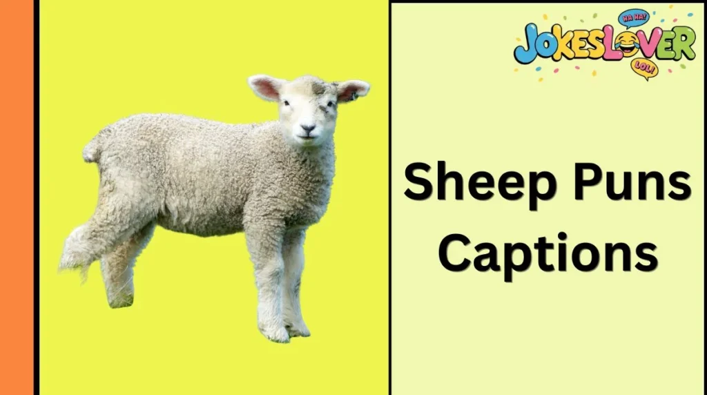 Sheep Puns Captions