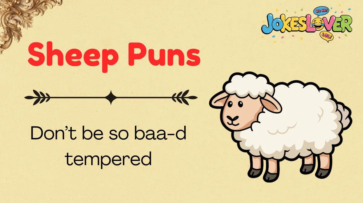 Sheep Puns