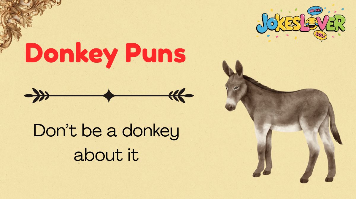 Donkey Puns