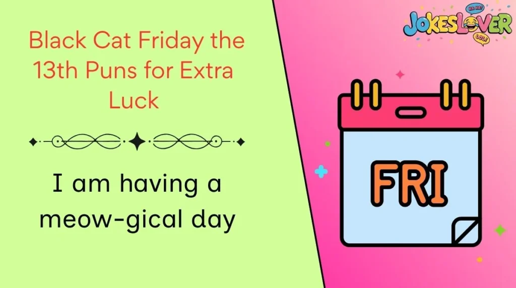  Black Cat Friday the 13th Puns for Extra Luck