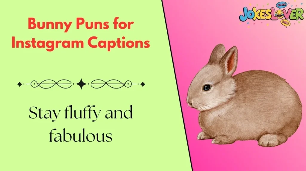 Bunny Puns for Instagram Captions