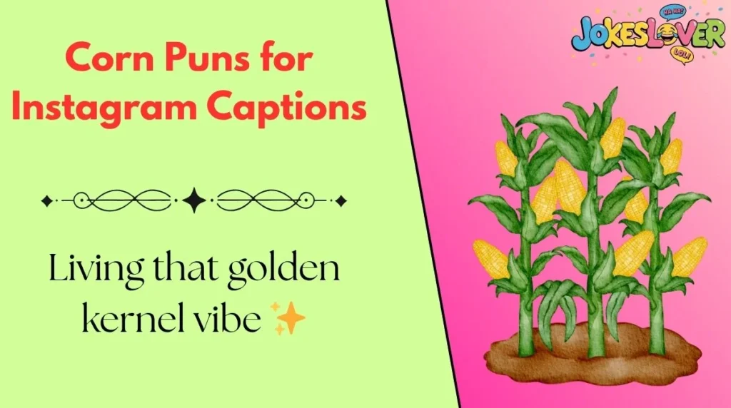 Corn Puns for Instagram Captions