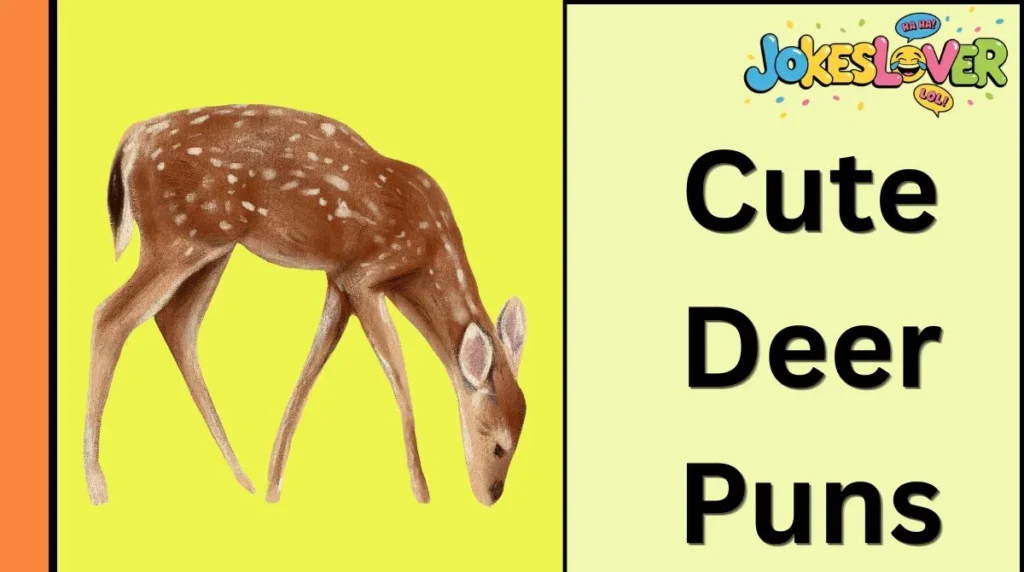 Cute Deer Puns