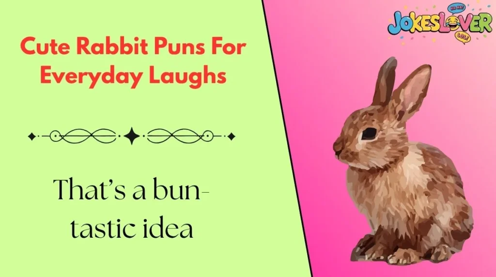 Cute Rabbit Puns For Everyday Laughs