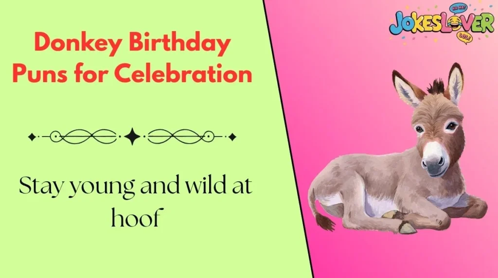 Donkey Birthday Puns for Celebration