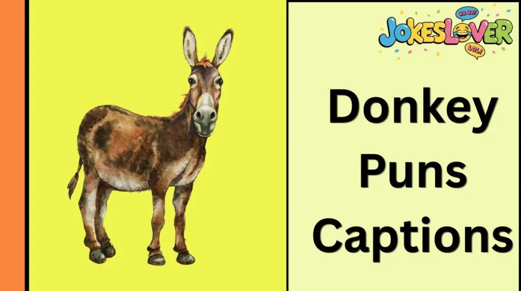 Donkey Puns Captions