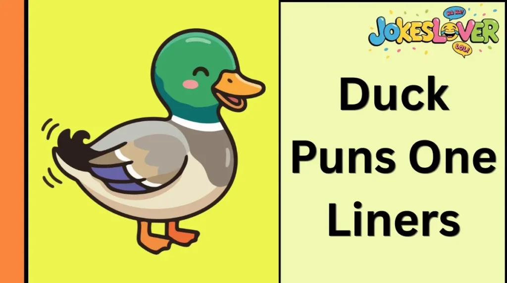 Duck Puns One Liners
