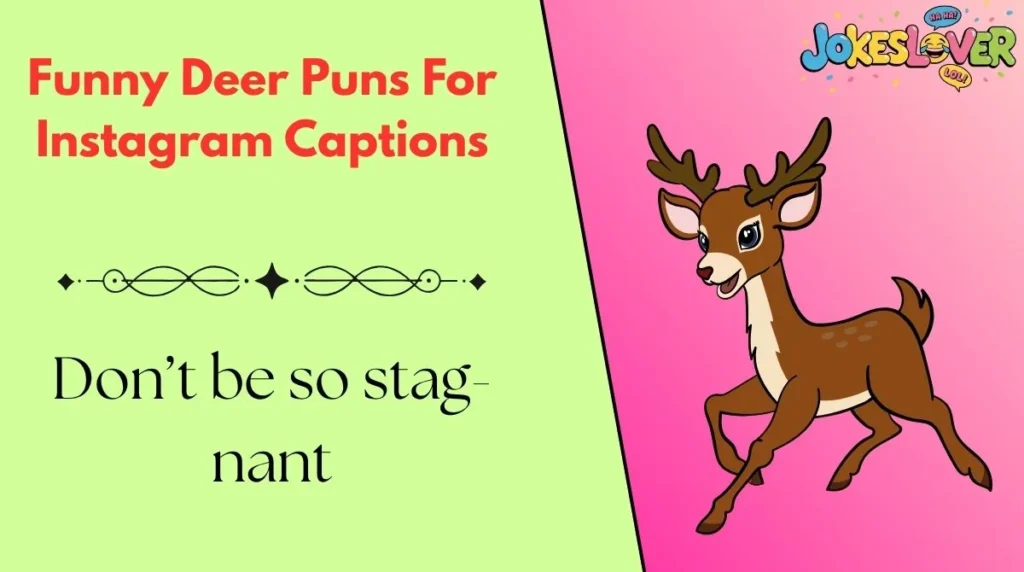 Funny Deer Puns For Instagram Captions