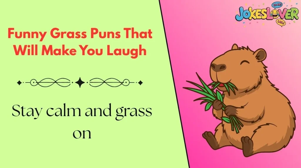 Funny Grass Puns That Will Make You Laugh