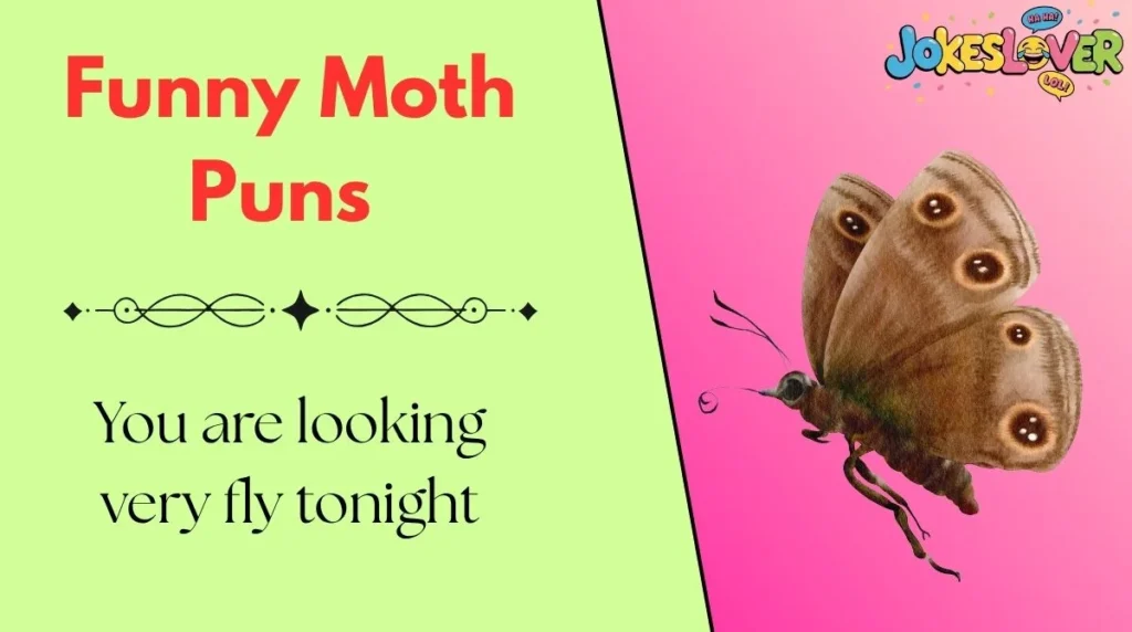 Funny Moth Puns 