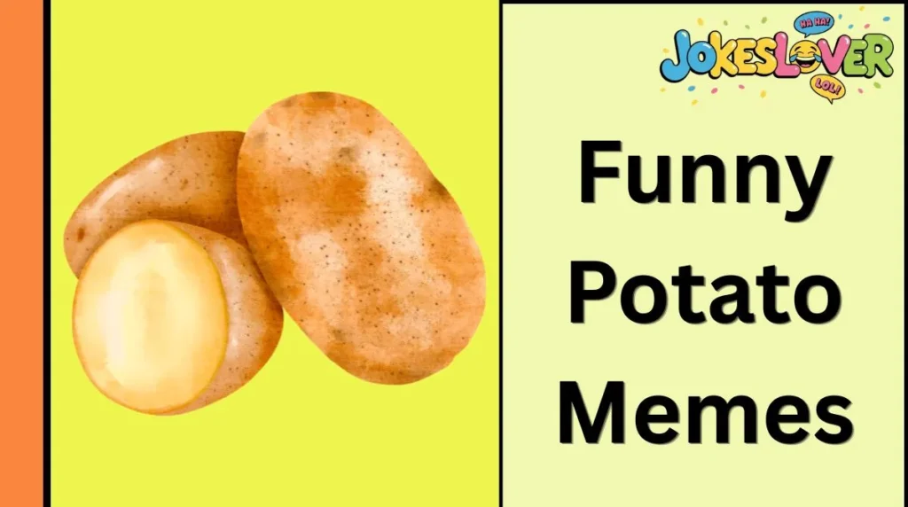 Funny Potato Memes
