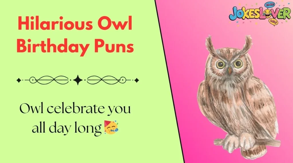 Hilarious Owl Birthday Puns