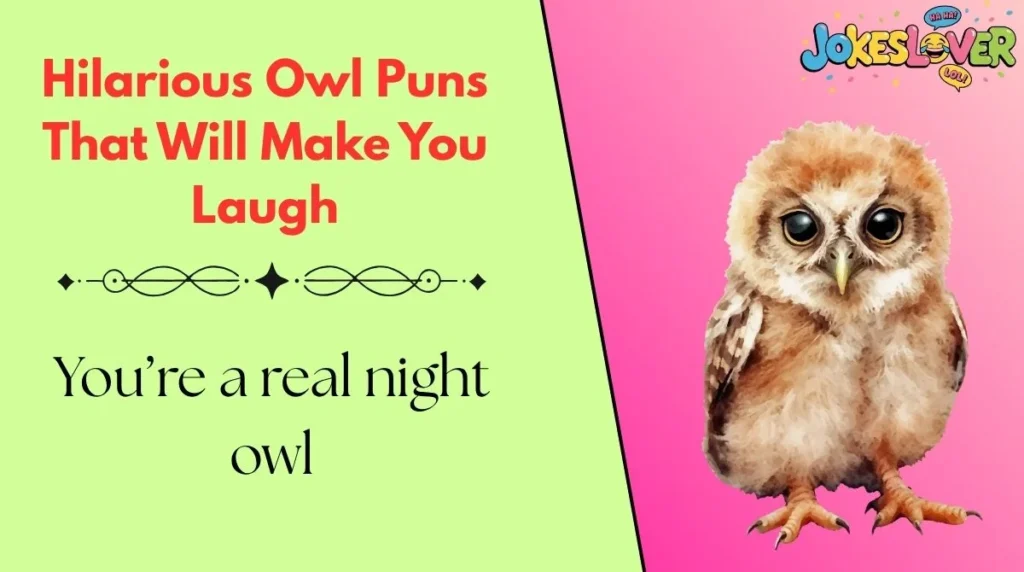 Hilarious Owl Puns That Will Make You Laugh 