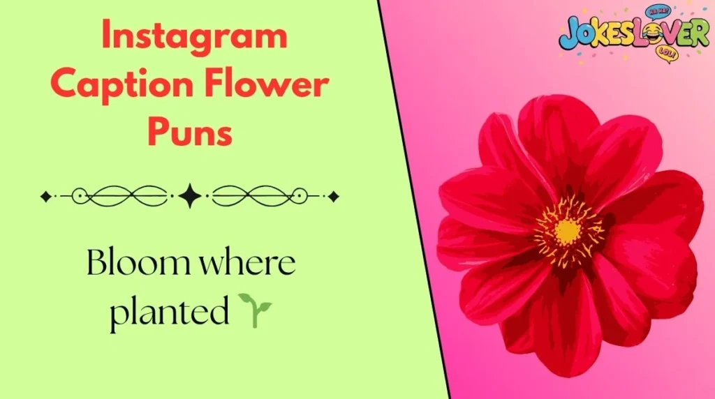 Instagram Caption Flower Puns