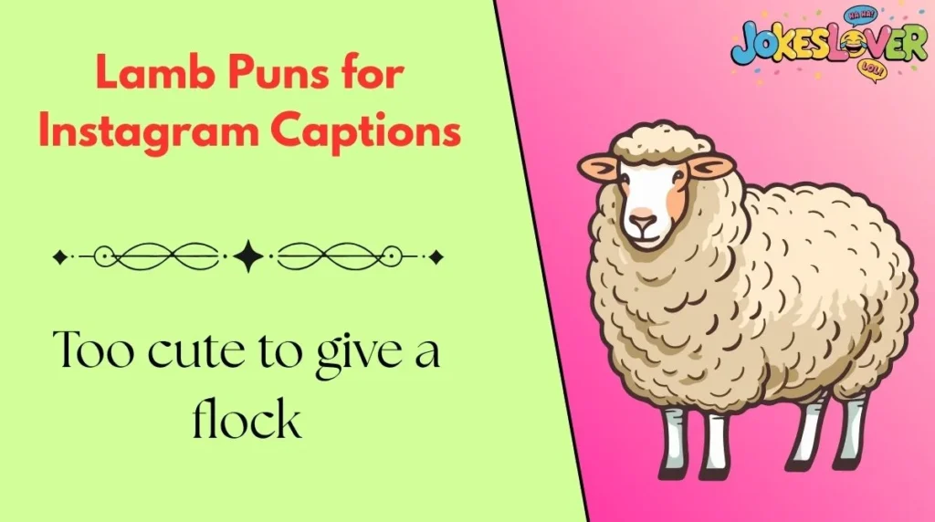 Lamb Puns for Instagram Captions