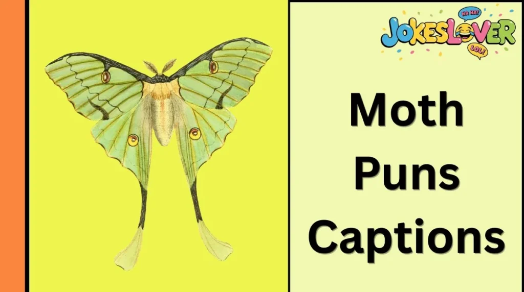 Moth Puns Captions