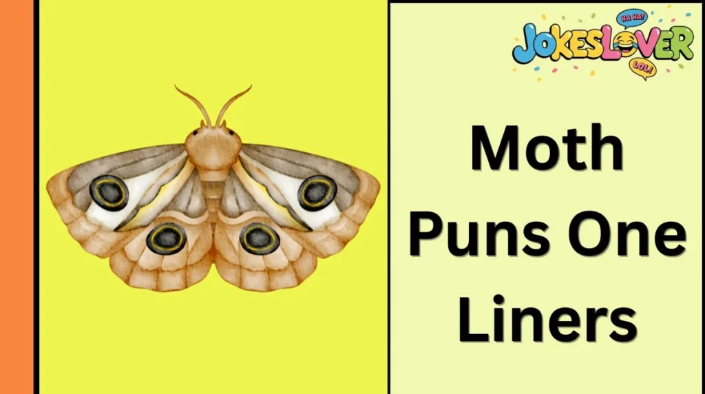 Moth Puns One Liners