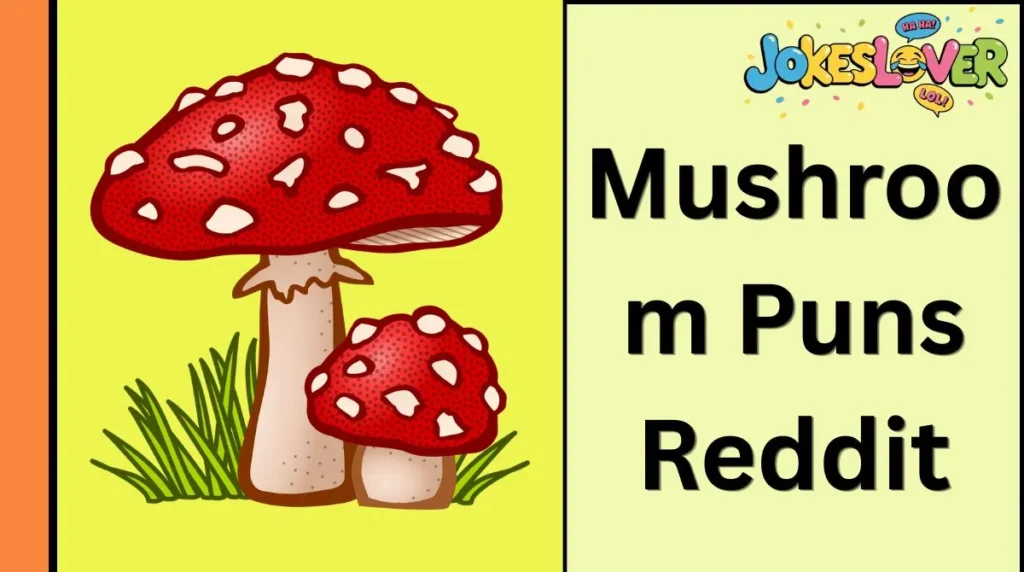 Mushroom Puns Reddit