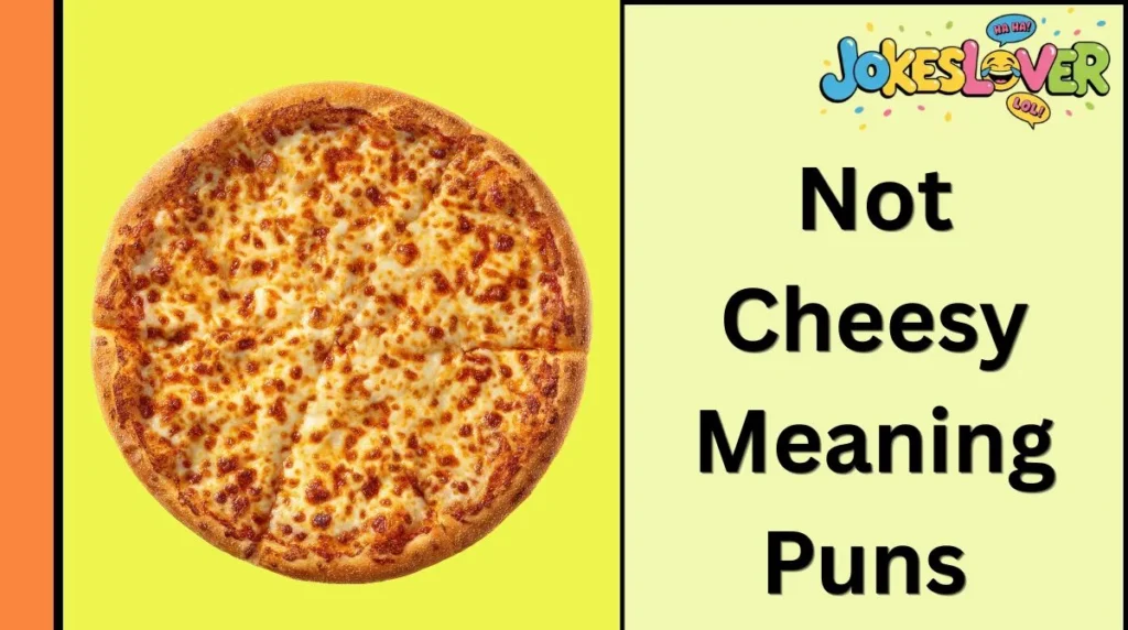 Not Cheesy Meaning Puns