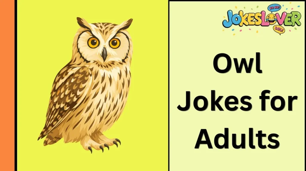 Owl Jokes for Adults