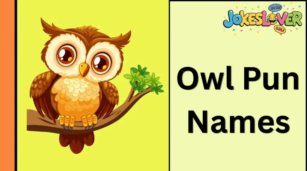 Owl Pun Names