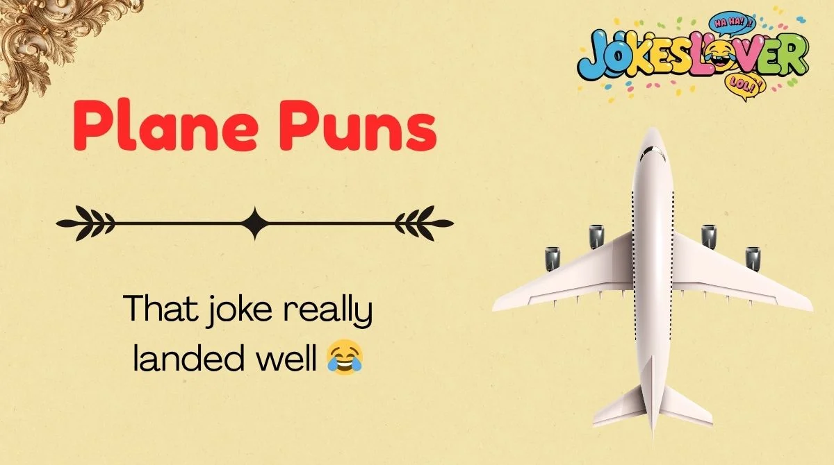 Plane Puns