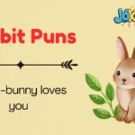Rabbit Puns