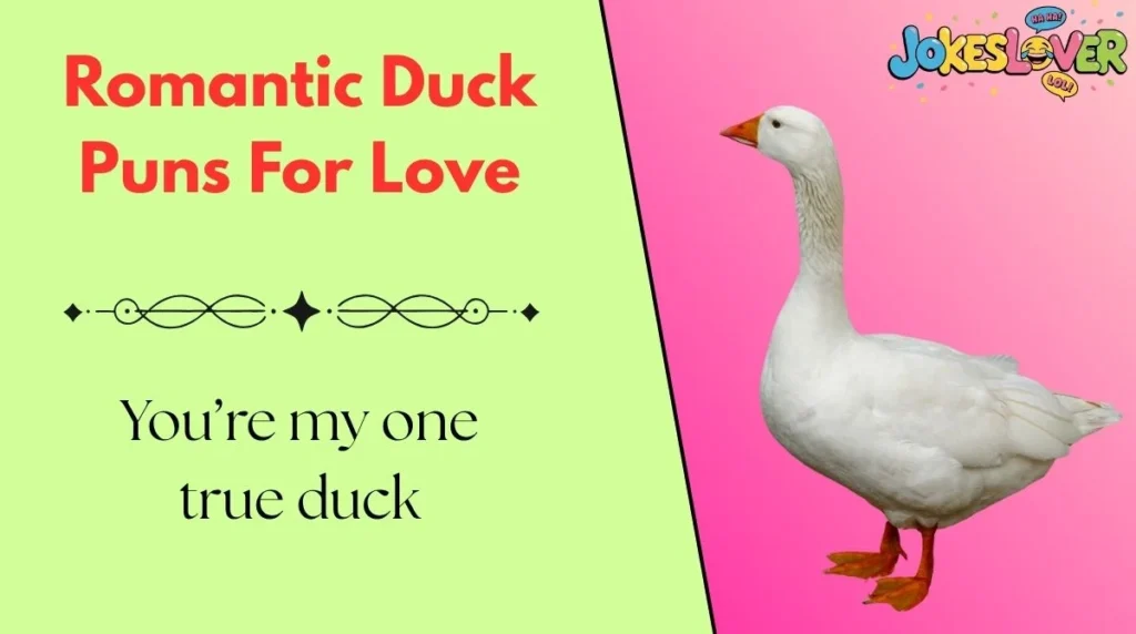 Romantic Duck Puns For Love