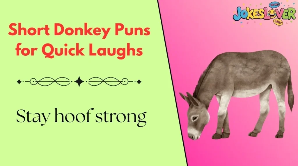 Short Donkey Puns for Quick Laughs 