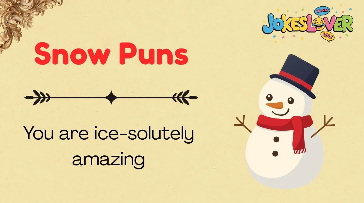Snow Puns