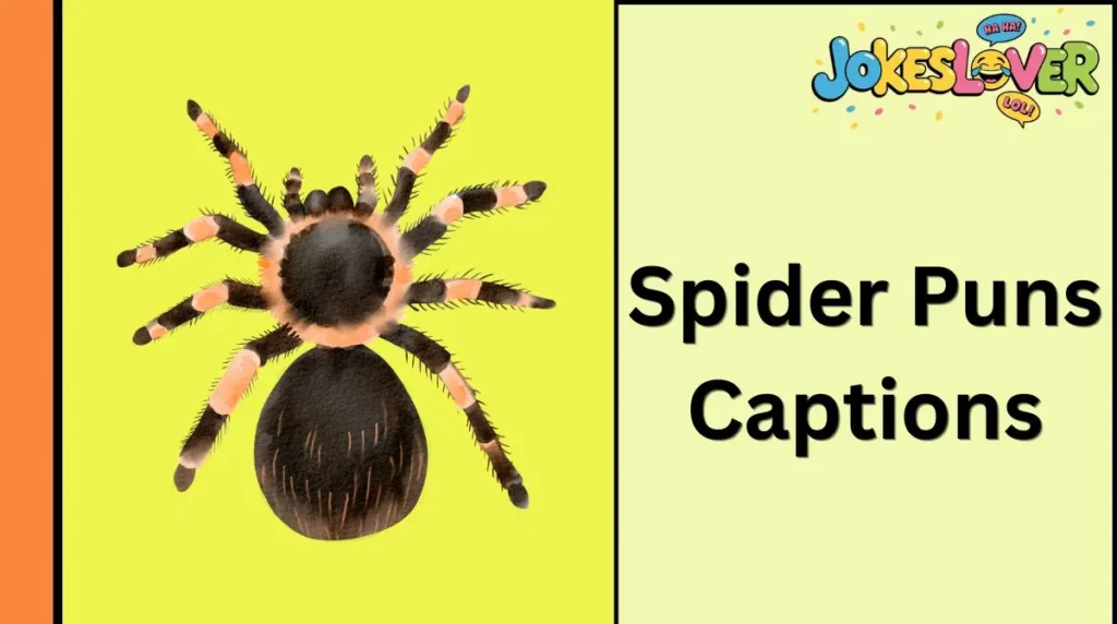 Spider Puns Captions