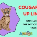 Cougar Pick Up Lines