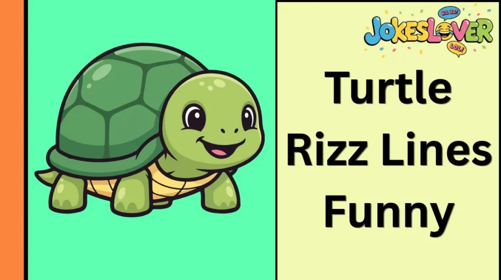 Turtle Rizz Lines Funny