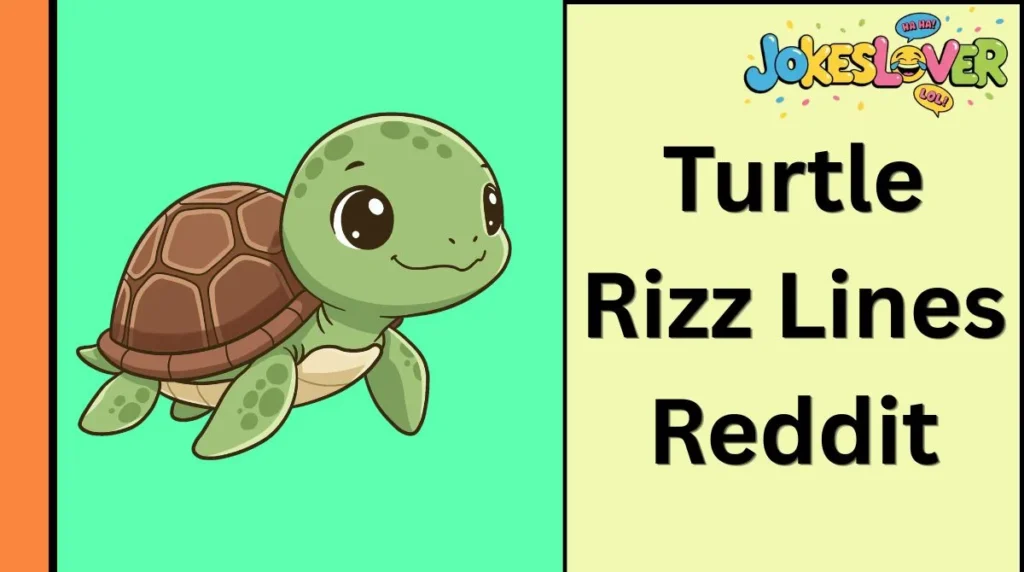 Turtle Rizz Lines Reddit